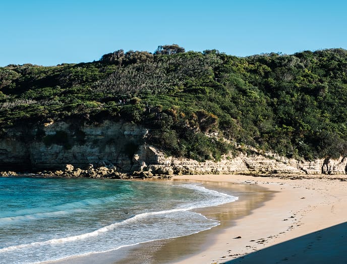 Sa Forcanera Cala tranquila de aguas cristalinas rodeada de naturaleza