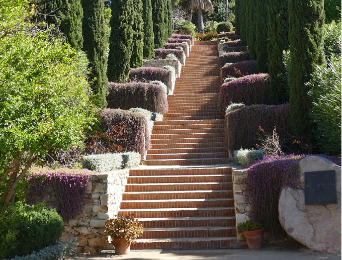Jardín Botánico Marimurtra Escalinata rodeada de vegetación